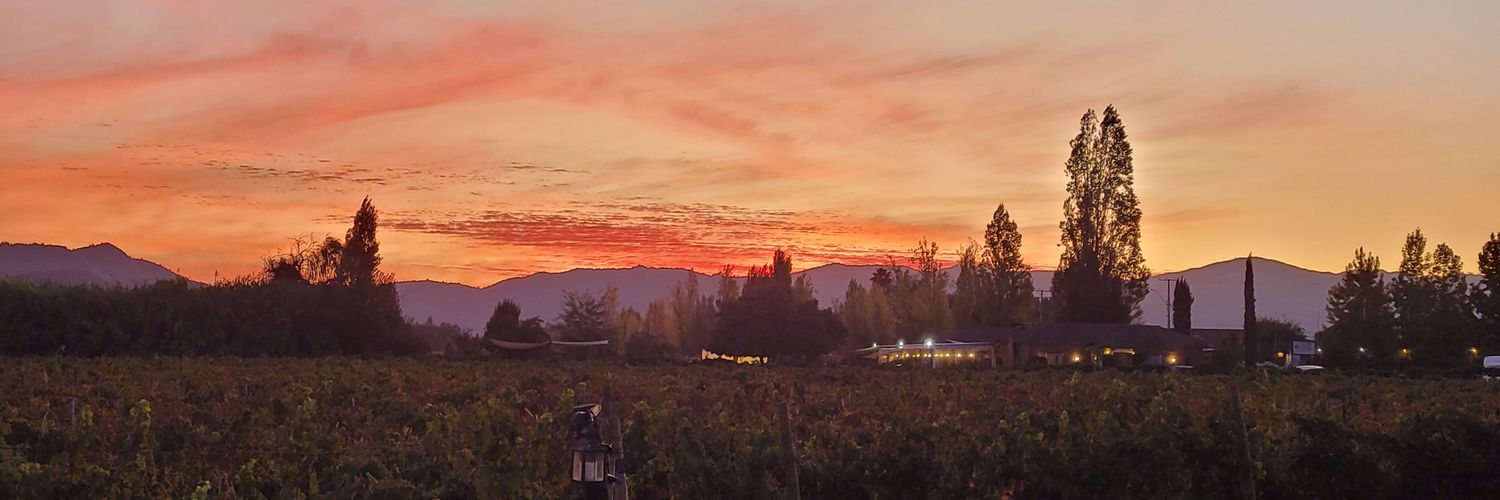 Judith Vickers💙🇪🇺🇬🇧🇬🇩🌹 banner