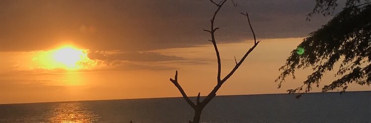 Jaylyyyy's profile banner image