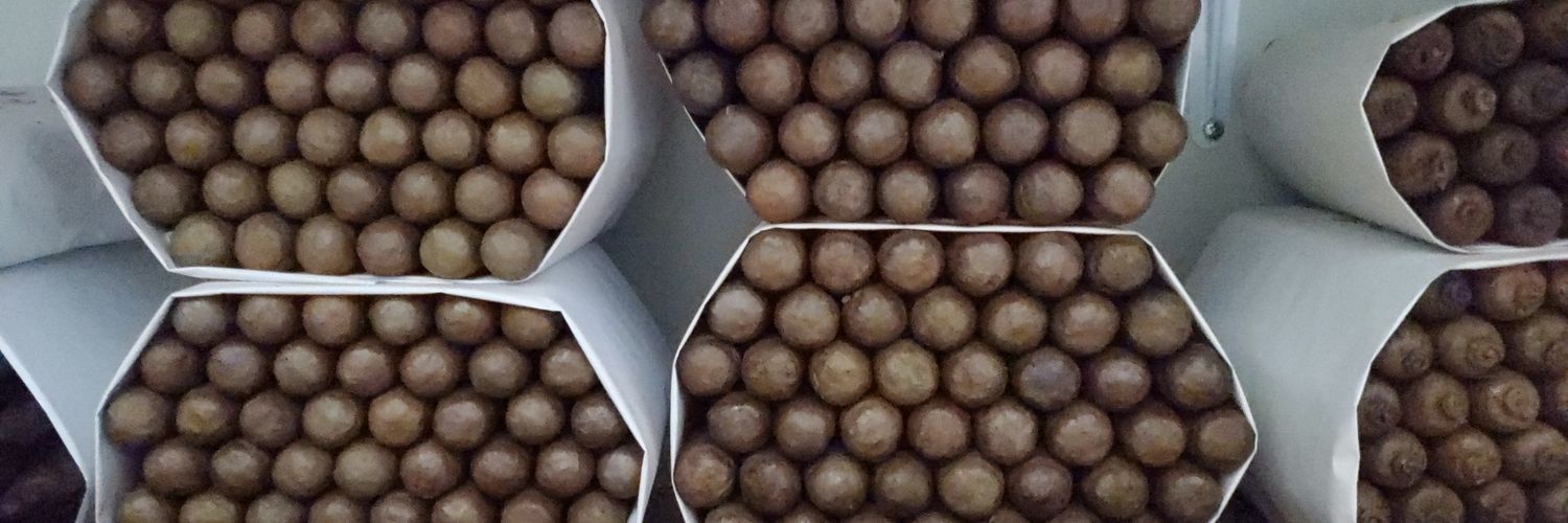 Jaime Santelises banner