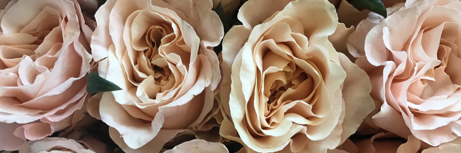 bookended's profile banner image