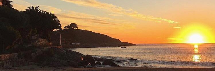 Francisca Cruzat banner