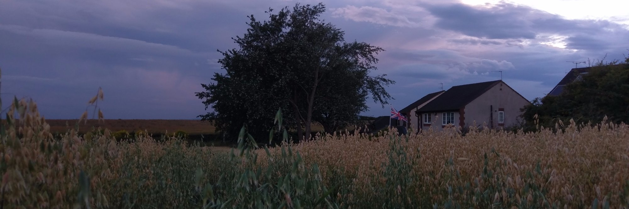 TheCharltonator's profile banner image