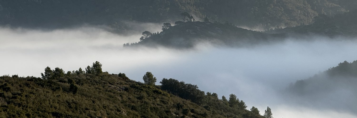 Marc Brescolí Badia banner
