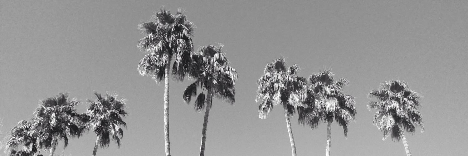 pattycake's profile banner image