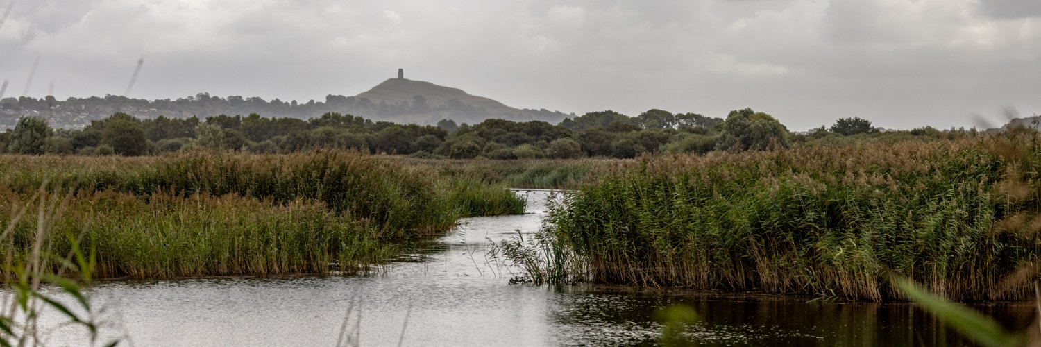 RSPB Ham Wall banner