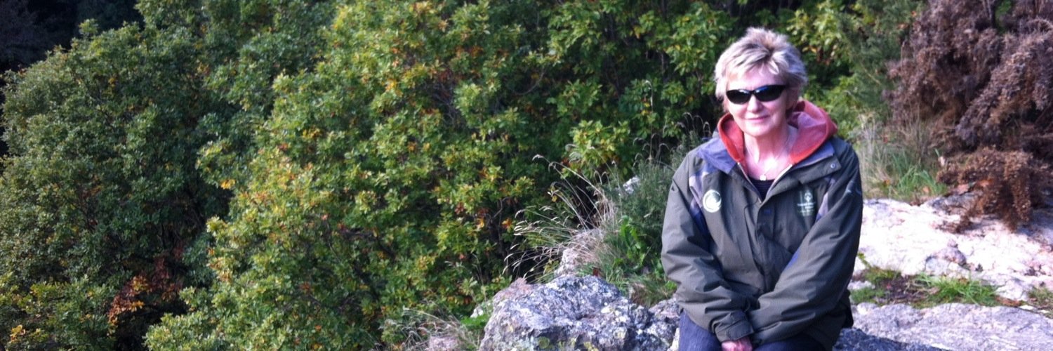 fergusfinlay's profile banner image