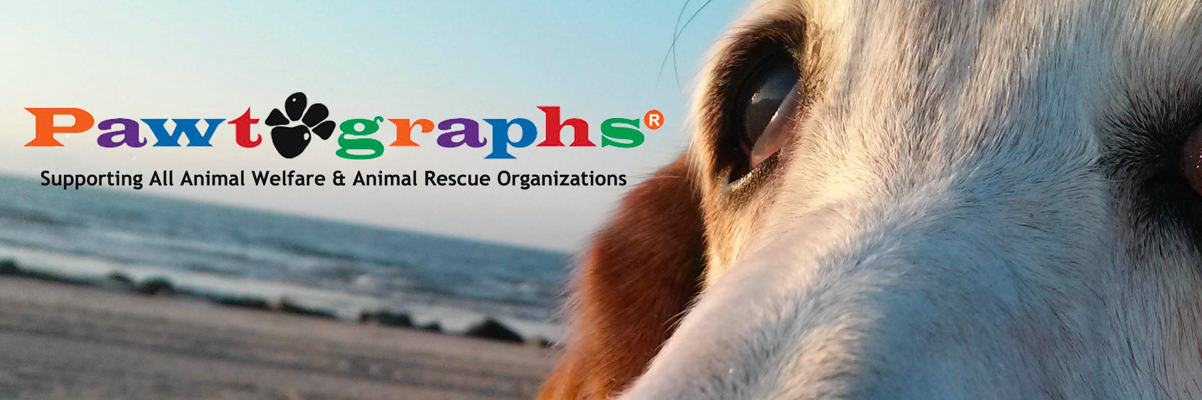 Pawtographs's profile banner image
