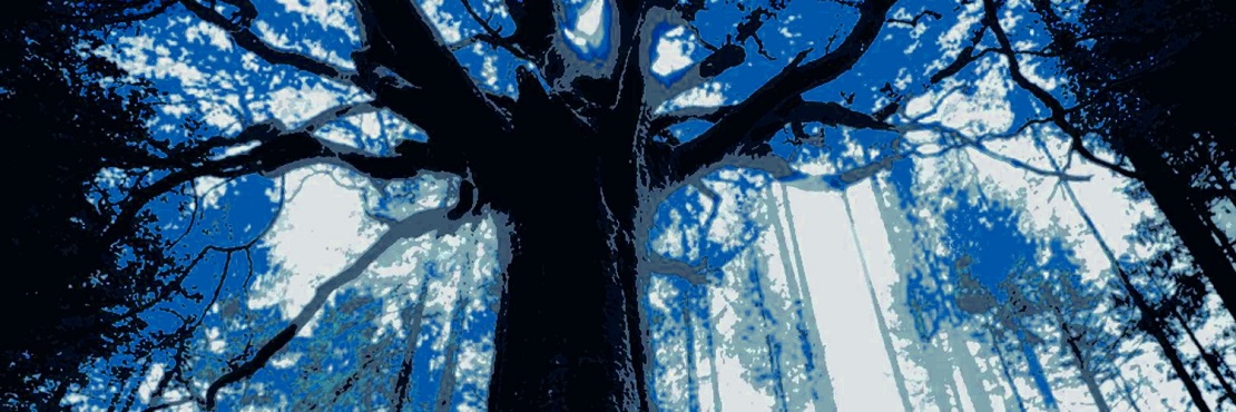 Patrick_Maurey's profile banner image