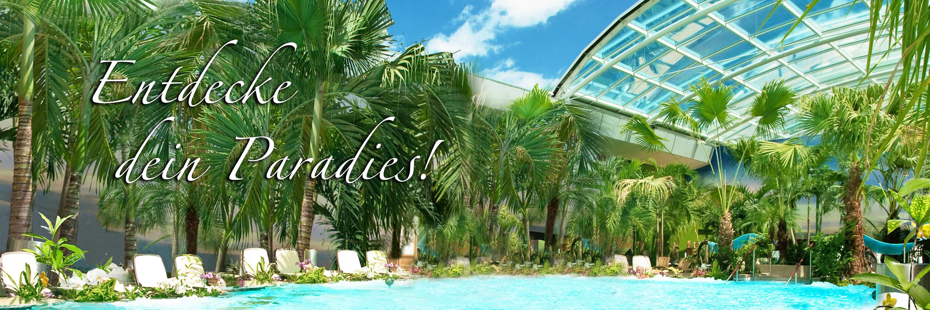 suedseetherme's profile banner image