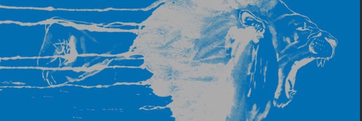 liondownsouth's profile banner image