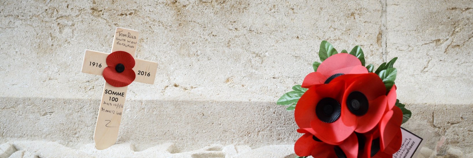 Emma Morgan banner