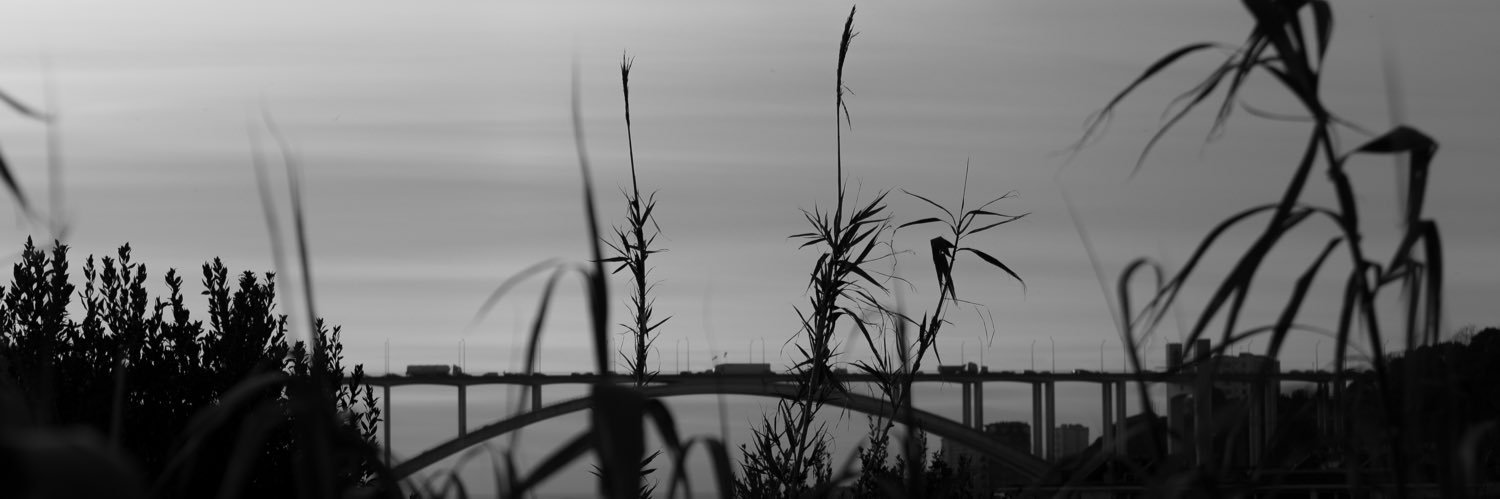 davidpp98's profile banner image