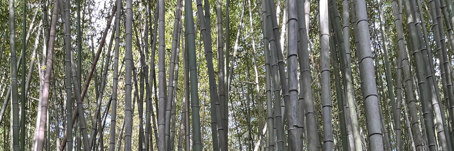 styfab's profile banner image
