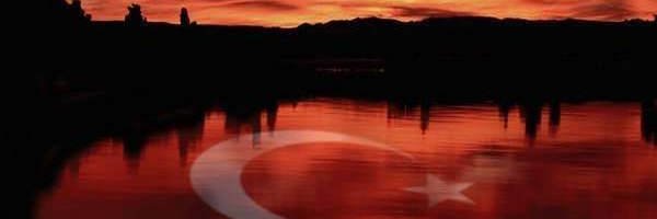 Cengiz Cingiler banner