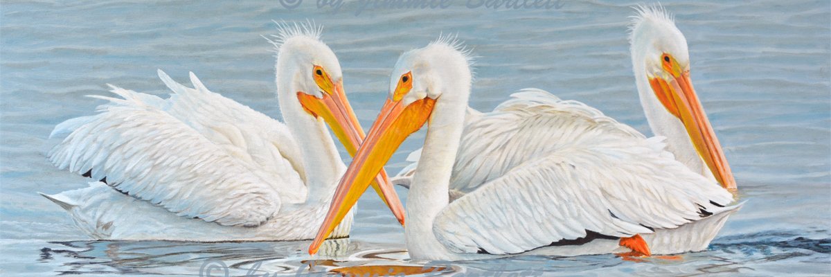 Jimmiesart's banner