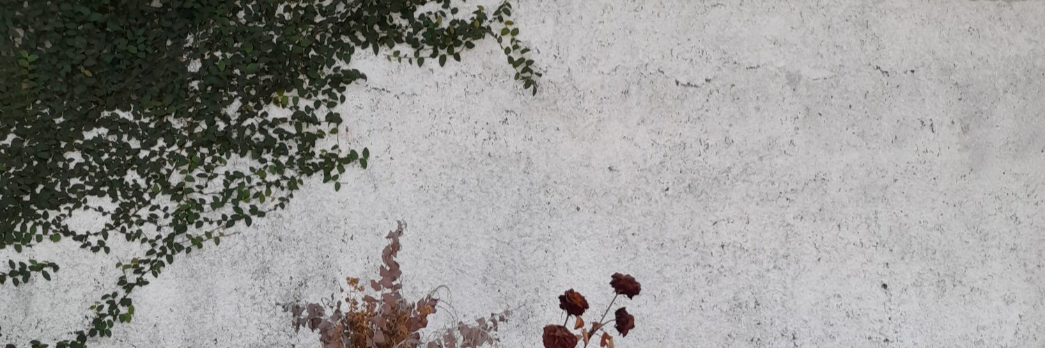 _Nauuu's profile banner image