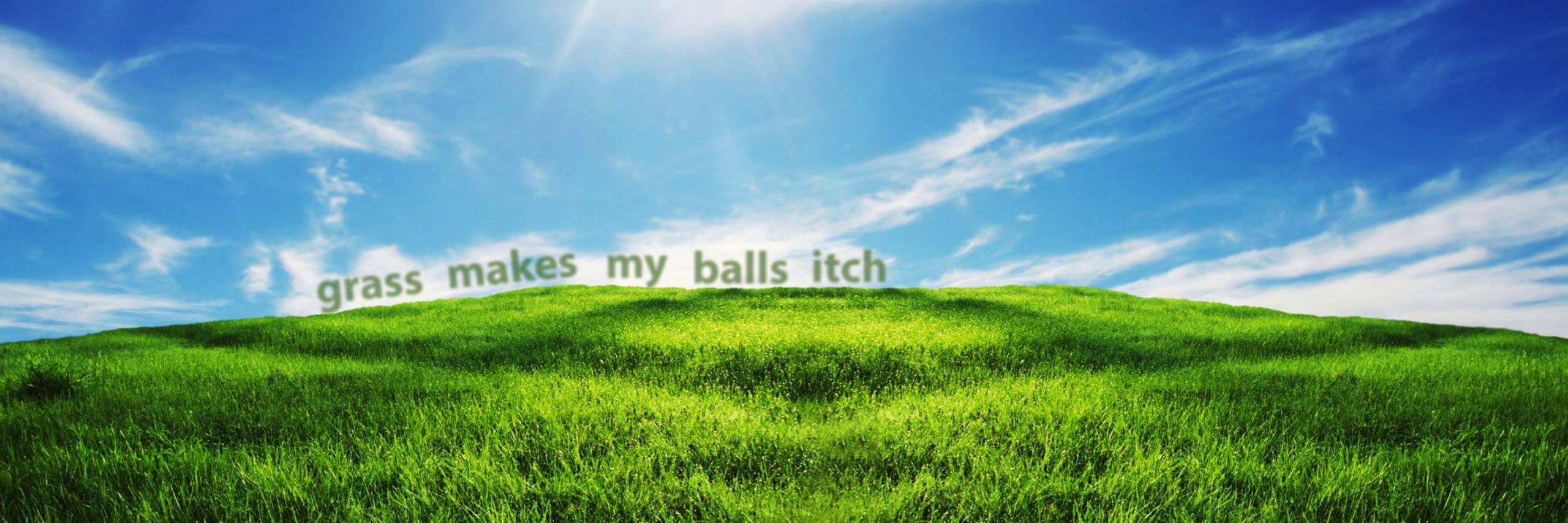 CheesyUnicorn7's profile banner image