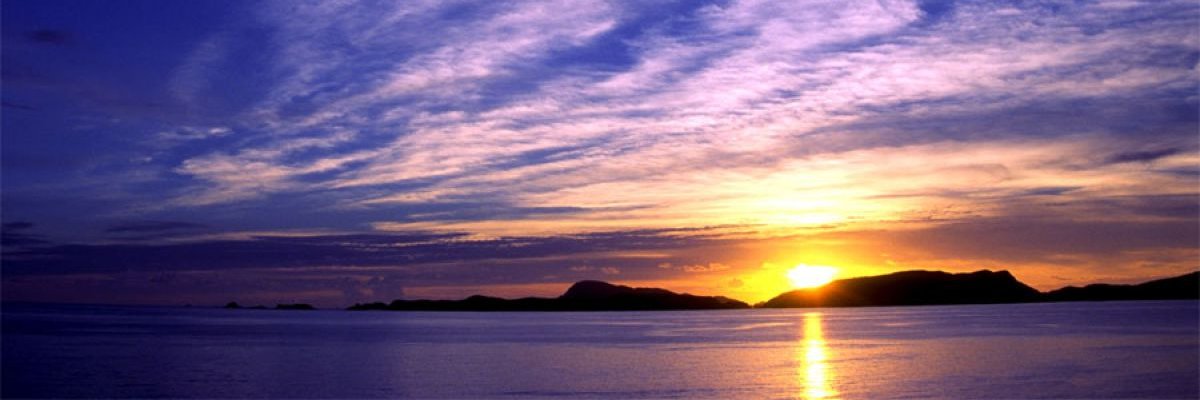 ramune1312's profile banner image