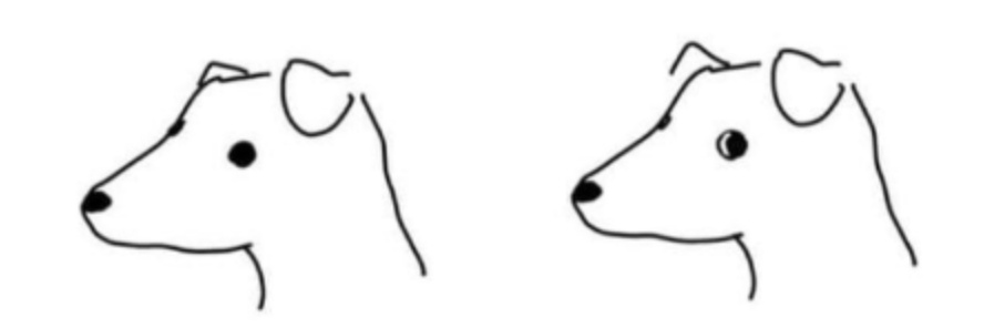 venus flytrap❤️‍🔥 banner