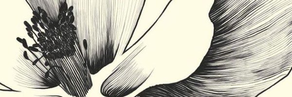 abelino_ramone Profile Banner
