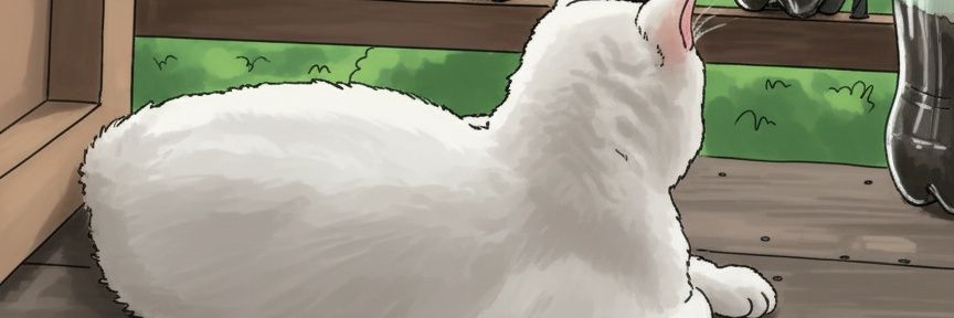 strwbearymoon's profile banner image