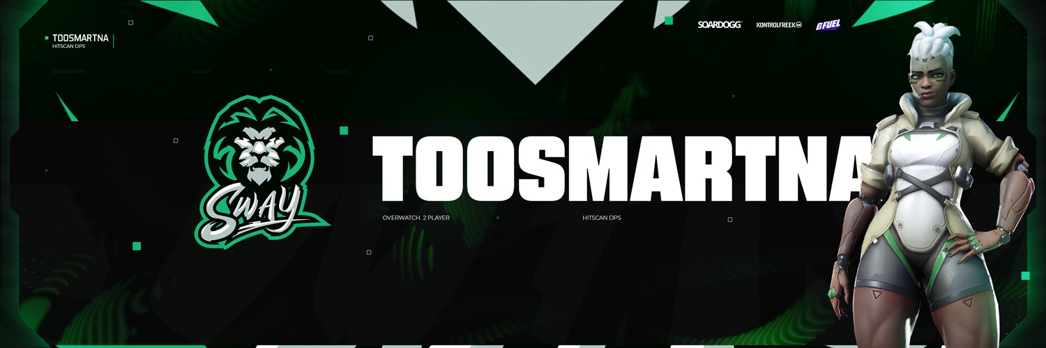 TooSmart banner
