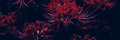 Twnp_q's profile banner image