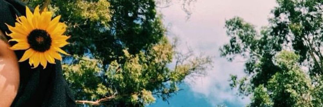 lhnyn2001's profile banner image