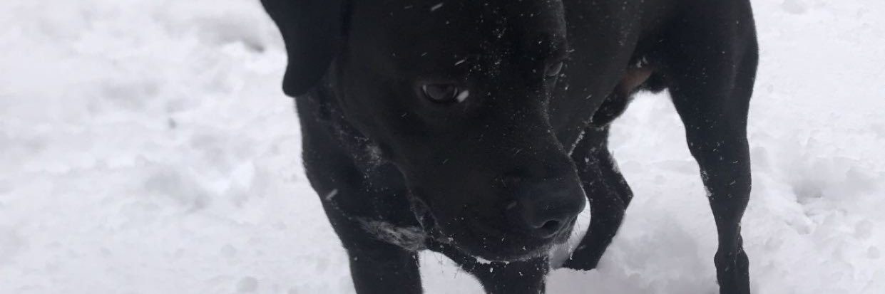 ItsSofiri's profile banner image