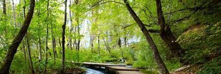 Marcos Basurco Ávalos🇵🇪 banner