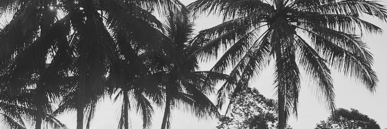 jessrichens's profile banner image