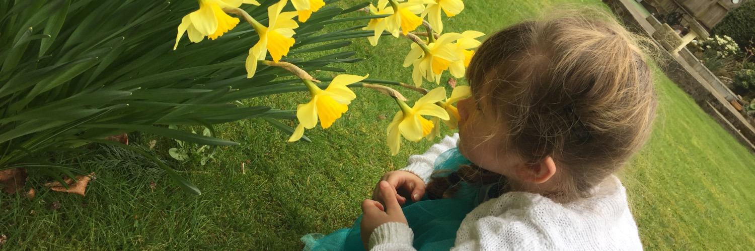AlexandraJack17's profile banner image