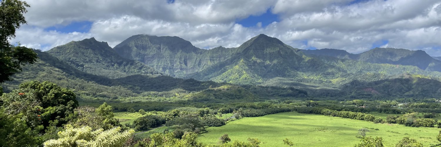 Office Possum banner