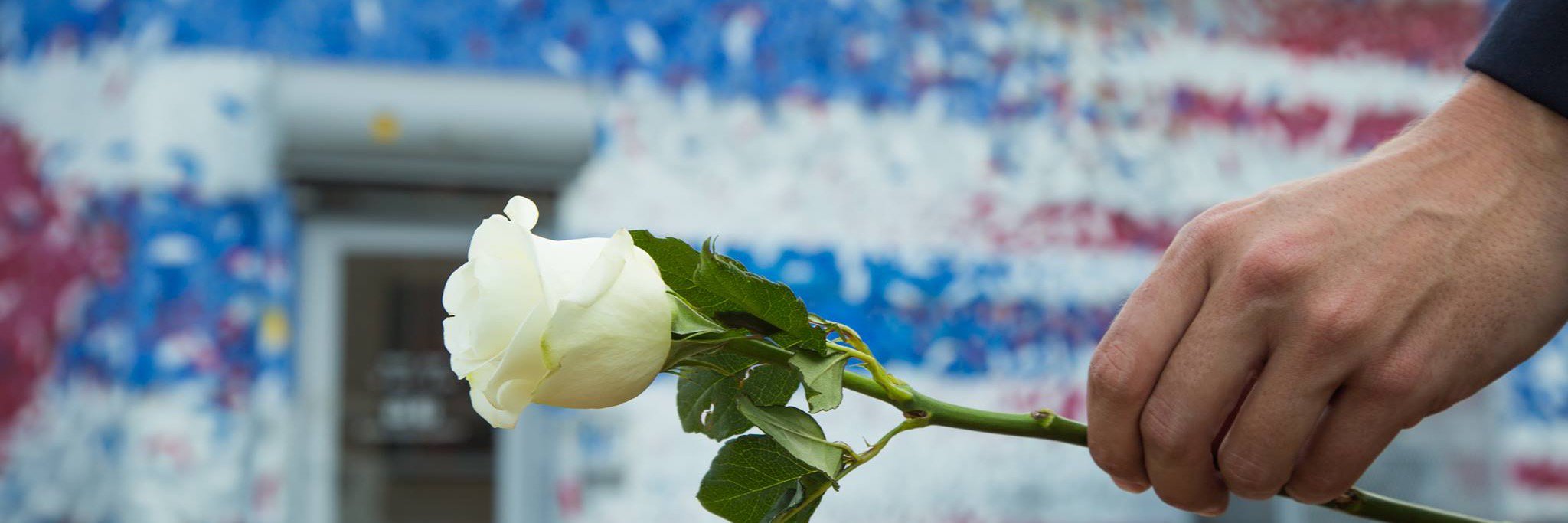 CubaOne Foundation banner