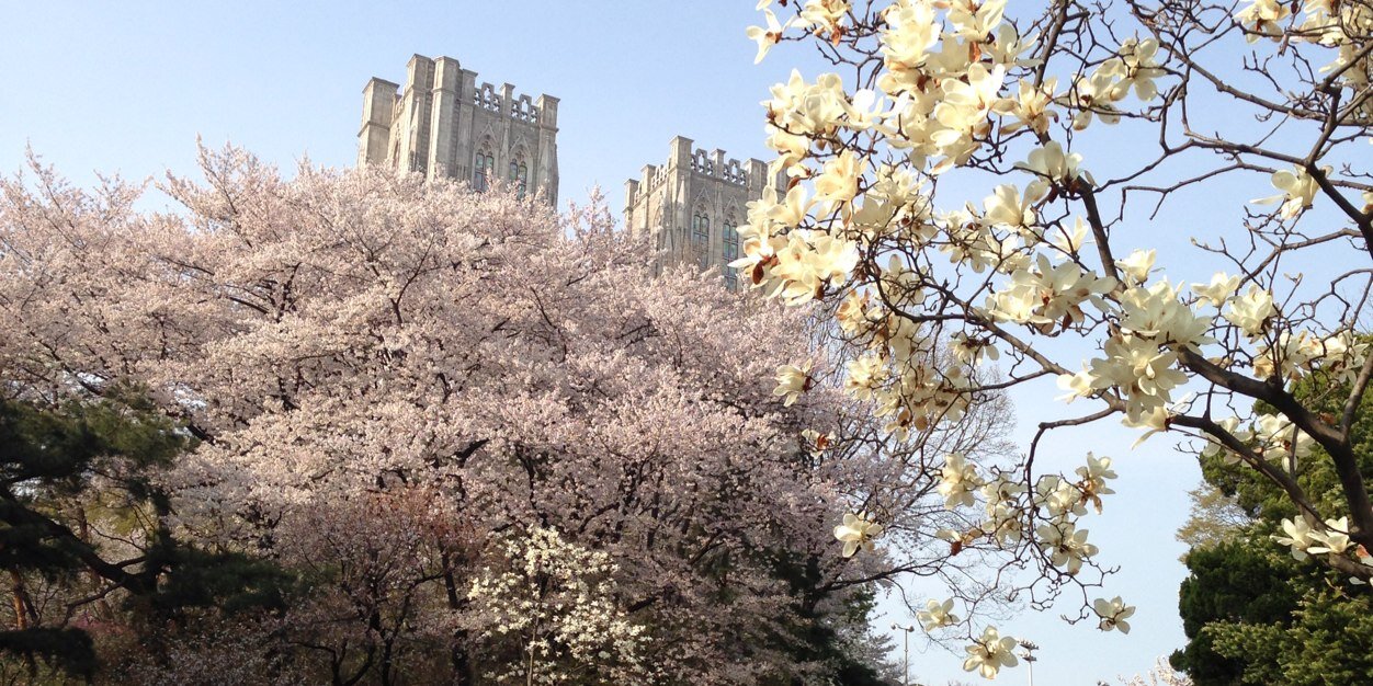 leejii's profile banner image