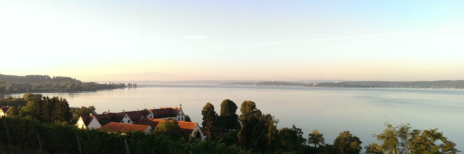 immohai's profile banner image