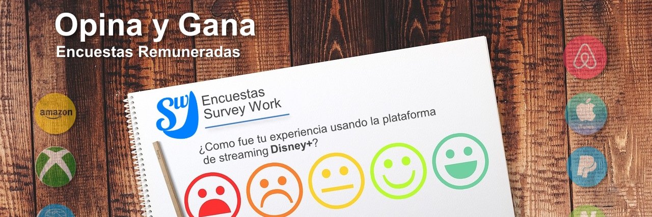 Encuestas Survey Work banner