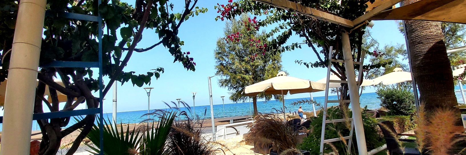 Jane_Cyprus's profile banner image