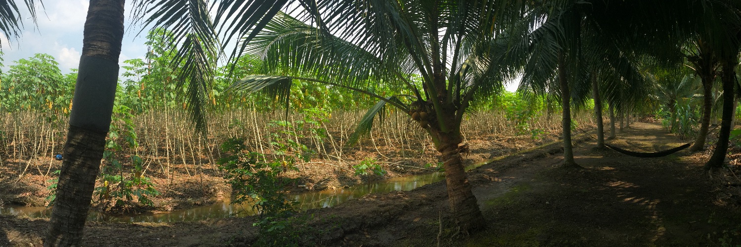 Clare Warrell banner