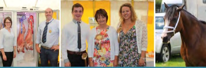 Sioe Llangadog Show. banner