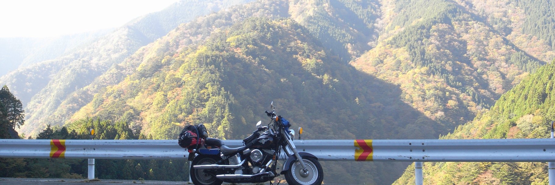 ハガ書店 a.k.a. 徹照陰茎居士 banner