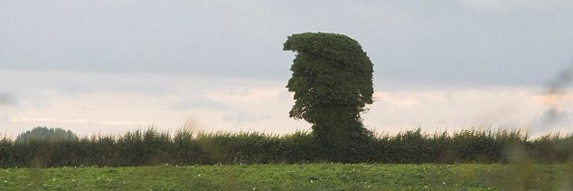 radjabs4's profile banner image