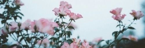 foreverdrinkk's profile banner image