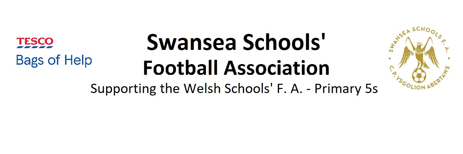SwanseaSFA's profile banner image