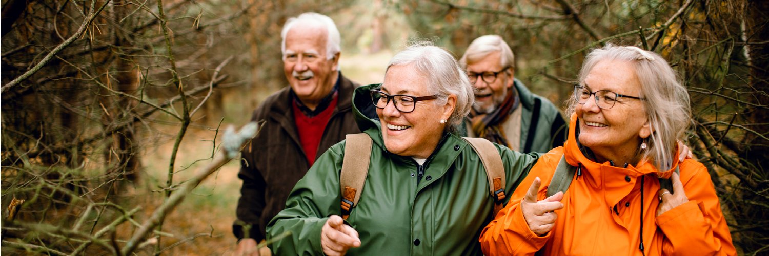 Silver Sunday banner