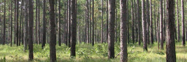 usfs_srs Profile Banner