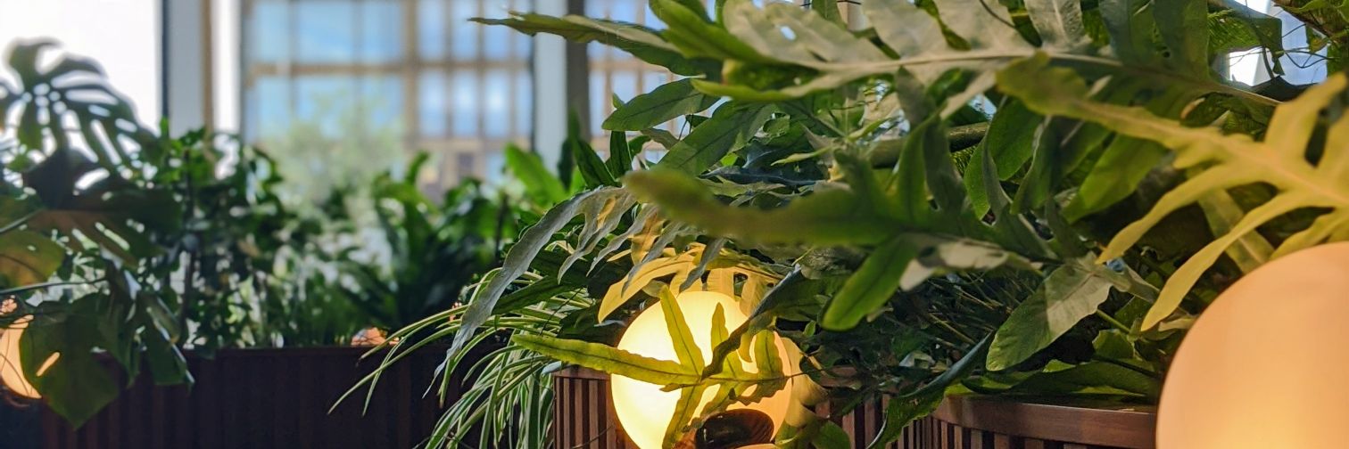 Michael Cockburn banner