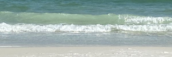 MAlvarez_NISD Profile Banner