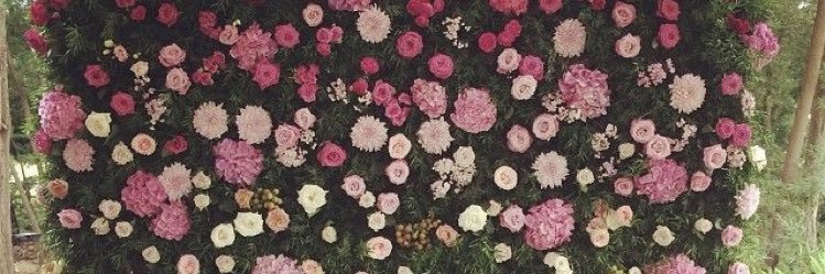 kinkynia's profile banner image