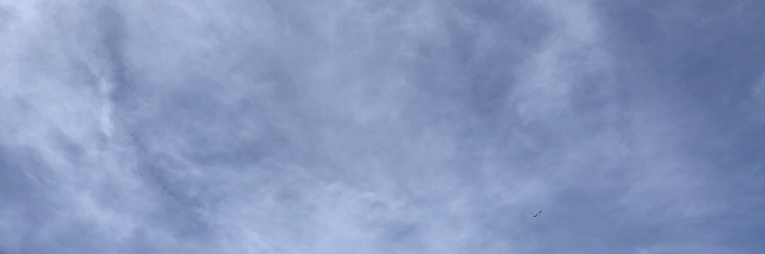 bzlem's profile banner image